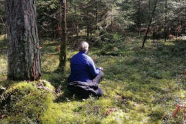 Waldbaden im Wald der Kräuterlei am Wörthersee
