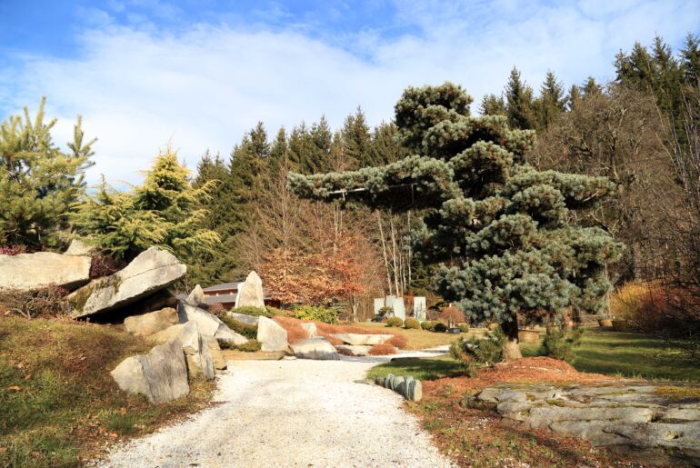 Bonsai-Garten in Seeboden in Kärnten