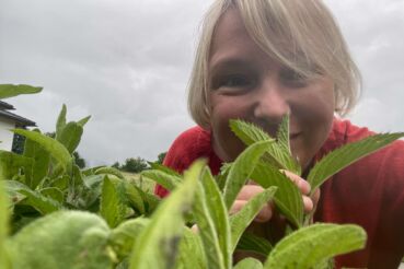 Kräuter für Konzentration: Anita Arneitz mit Minze