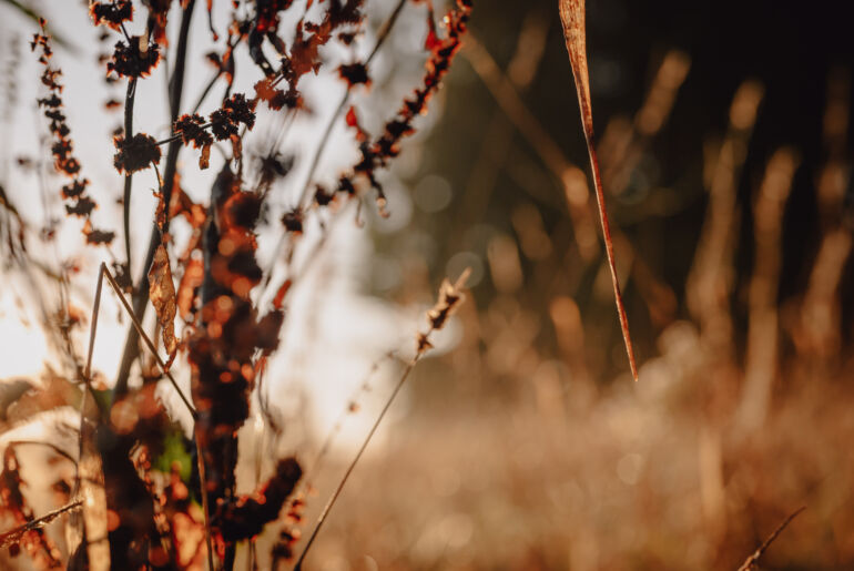 Rauhnächte Schreibrituale