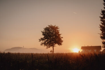 Schiefling am Wörthersee mit Pyramidenkogel und Kräuterlei