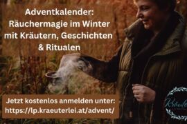 kostenloser Adventkalender von der Kräuterlei am Wörthersee