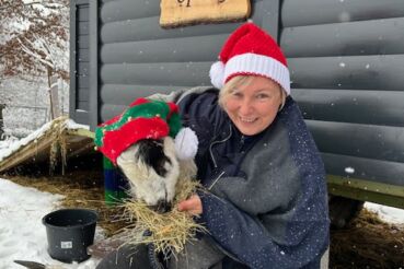 Anita Arneitz Kräuterlei