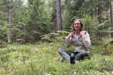 Barbara Wiegele Forest Therapy Trail Kärnten