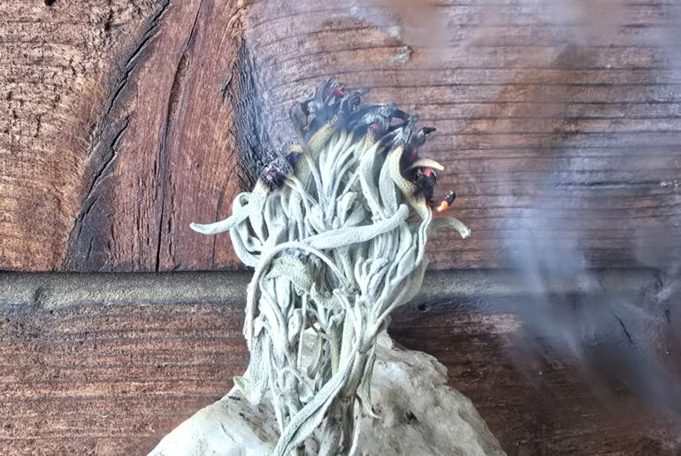 Räuchern Sylvana Kuhl