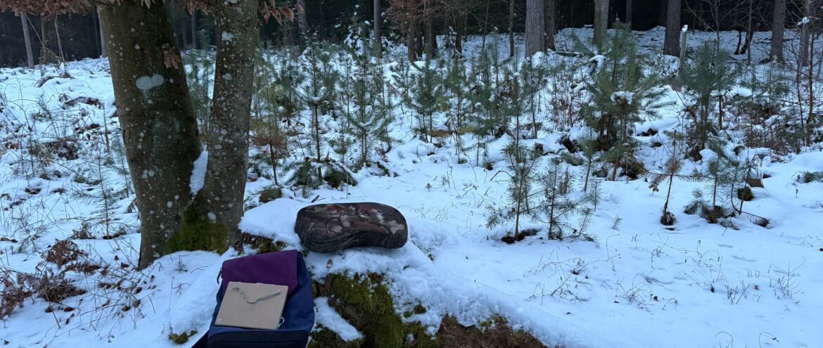 Forest Therapy Trail Diary: Im Winterwald am Wörthersee