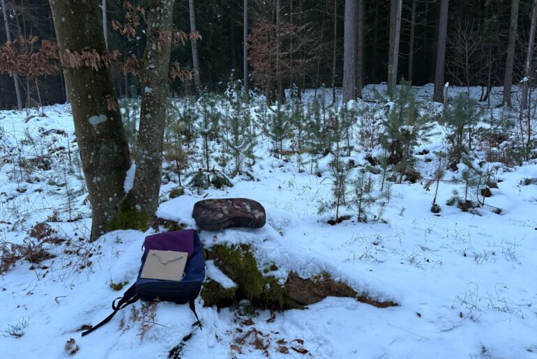 Forest Therapy Kräuterlei Winter am Wörthersee