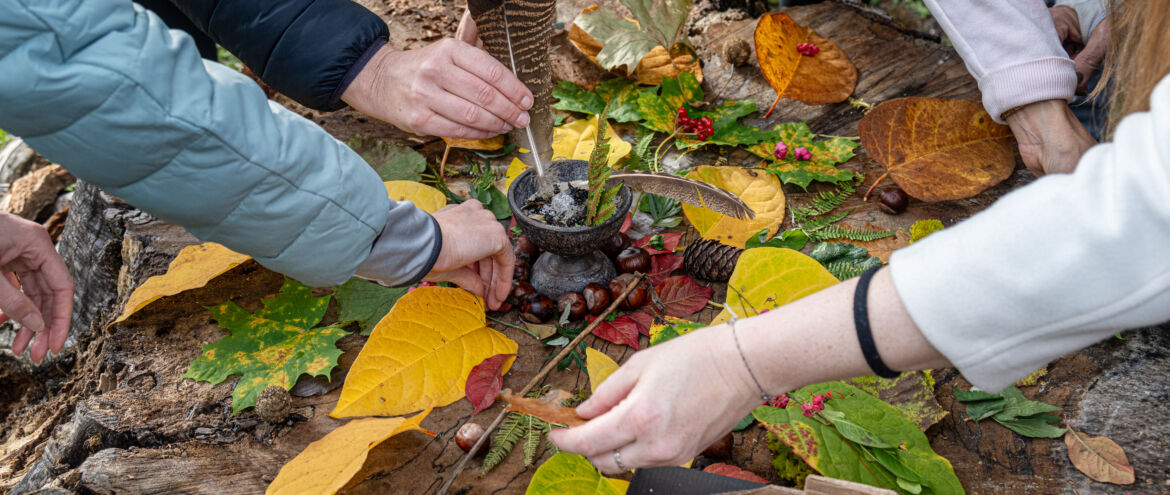 Waldluft und Notizbuch beim OBOM Achtsamkeitsfestival am Hafnersee