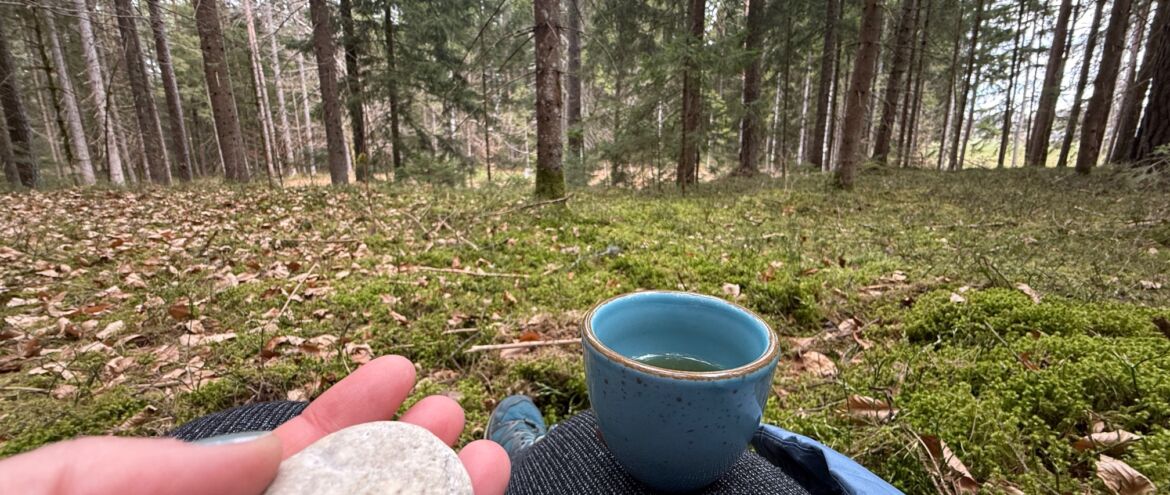 Kraft aus der Natur: Wie Wald und Garten neue Energie schenken