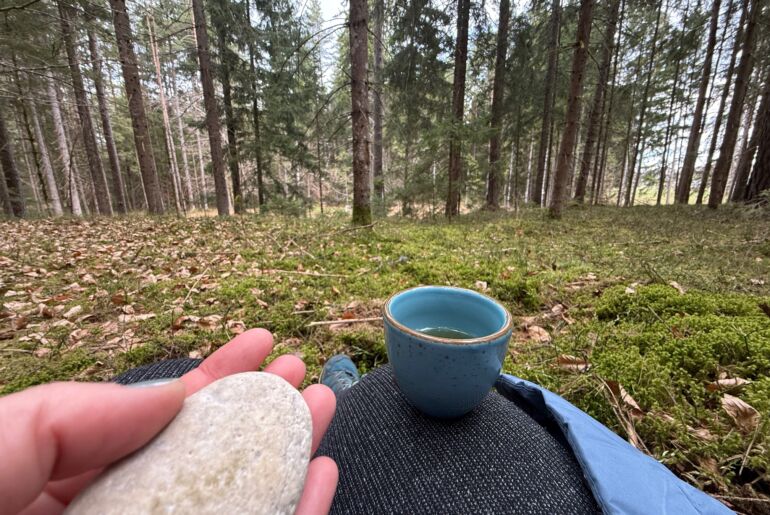 WaldAuszeit in Kärnten Forest Therapy Trail Österreich