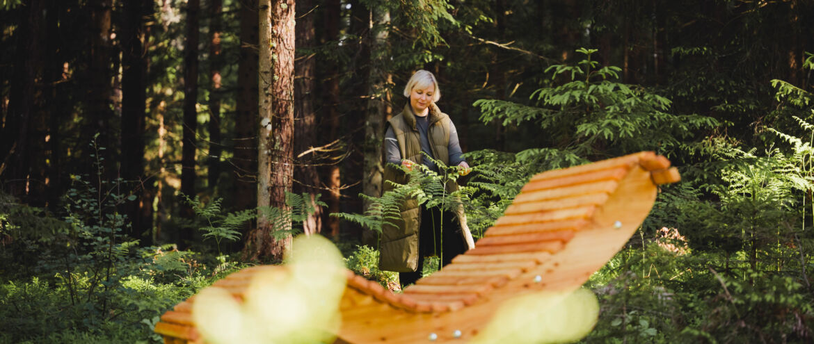 WaldAuszeit: Forest Therapy Termine 2026