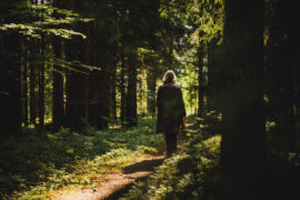 Forest Theapy Trail Schiefling am Wörthersee Österreich Anita Arneitz Foto Petra Nestelbacher