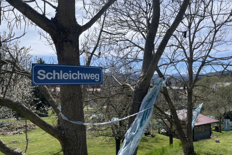 Weinbergschnecken vom Wörthersee