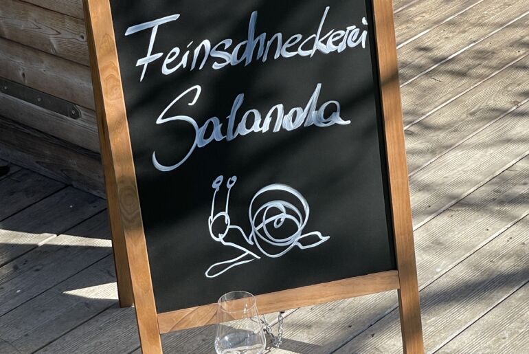 Weinbergschnecken vom Wörthersee
