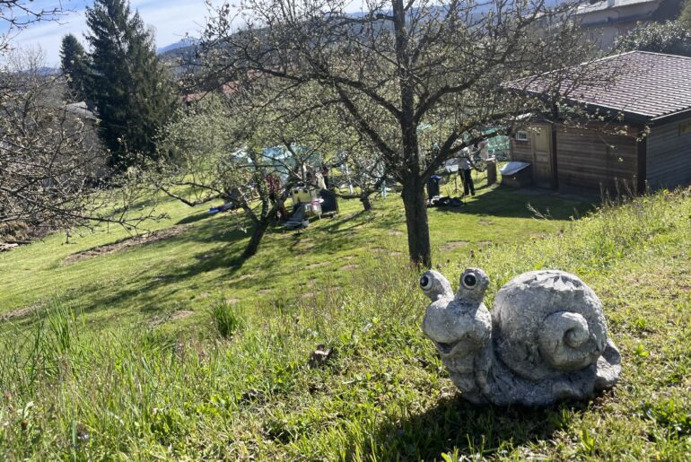 Weinbergschnecken vom Wörthersee