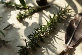 Nature Writing und Rosmarin Kräuterlei am Wörthersee (2)