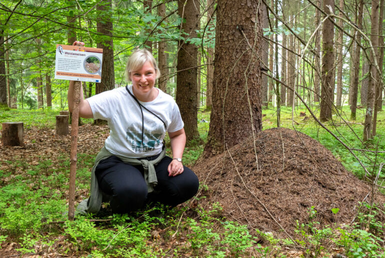 Anita Arneitz, Forest Therapy Guide, WaldAuszeit Schiefling am Wörthersee