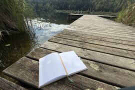 Forest Journaling obom Achtsamkeitsfestival