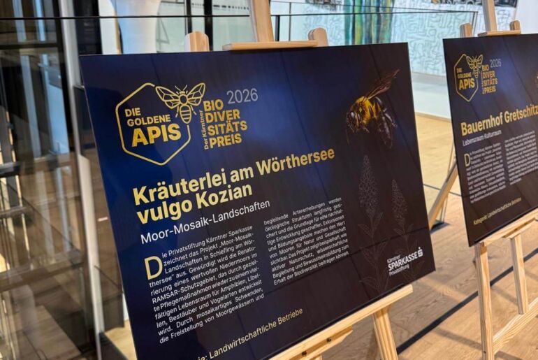 Verbuschtes Niedermoor im RAMSAR-Schutzgebiet in Schiefling am Wörthersee, Projekt für mehr Biodiversität in Kärnten