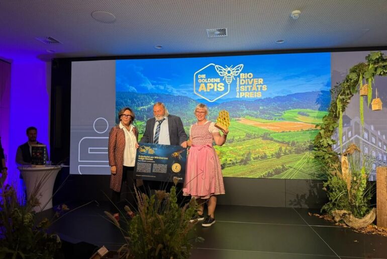 Goldene Waben als Trophäe und Urkunde der Goldenen APIS 2026, Biodiversitätspreis der Kärntner Sparkasse